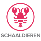 schaald